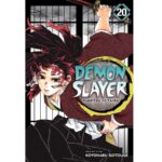 Demon Slayer Kimetsu no Yaiba, Vol. 20