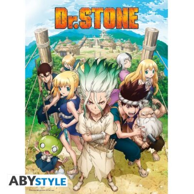 Dr Stone Poster