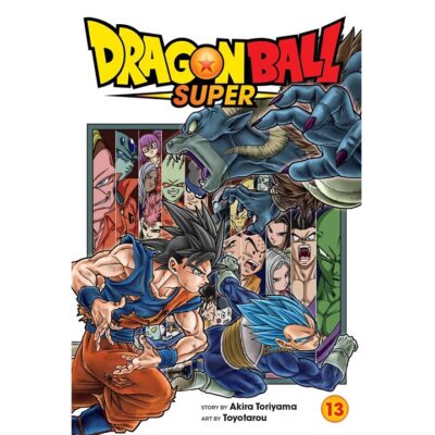 Dragon Ball Super Vol 13