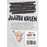 Jujutsu Kaisen, Vol. 3 b