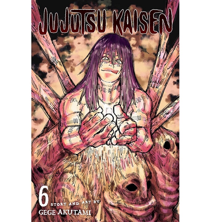 Jujutsu Kaisen Vol 6