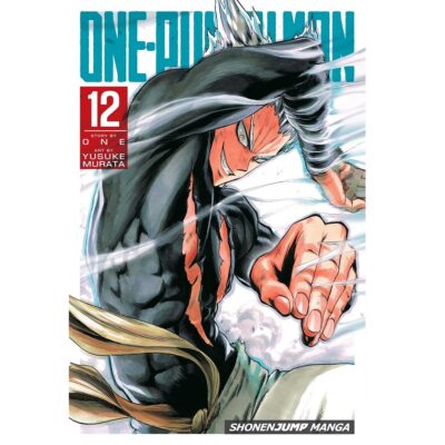One-Punch Man Vol 12